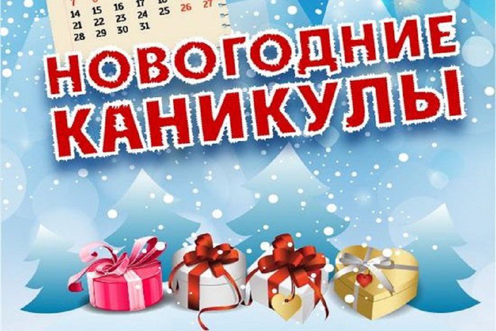 Новогодние каникулы с пользой.